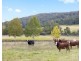 24 Coolawine Road, Wollombi NSW 2325