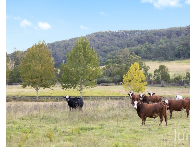 24 Coolawine Road, Wollombi NSW 2325
