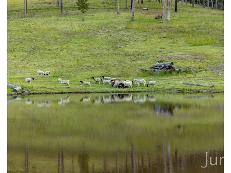 155 Q9 Lane, Ellalong NSW 2325