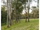 155 Q9 Lane, Ellalong NSW 2325