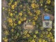42 Big Ridge (North Arm) Lane, Sedgefield NSW 2330