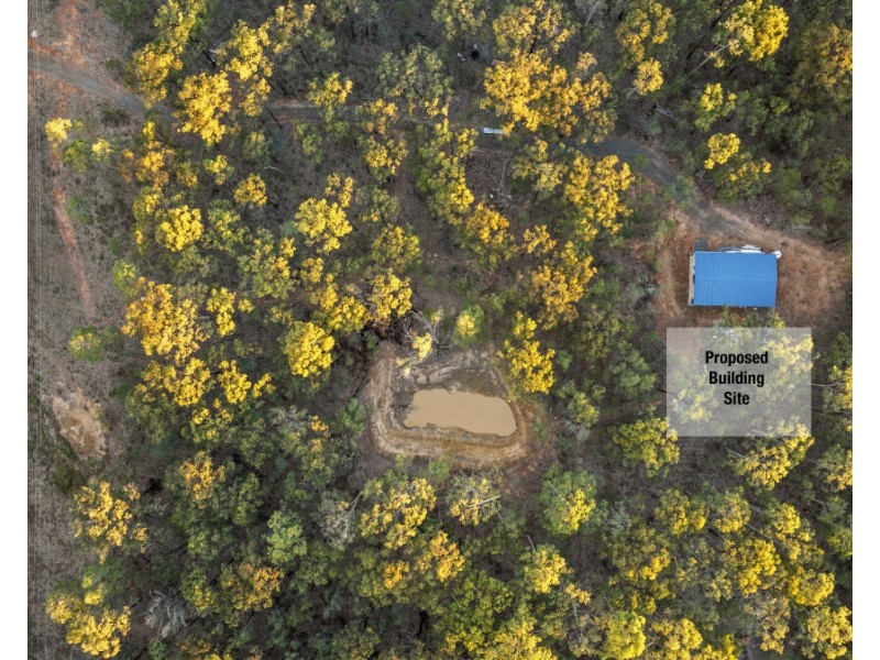 42 Big Ridge (North Arm) Lane, Sedgefield NSW 2330