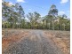 42 Big Ridge (North Arm) Lane, Sedgefield NSW 2330