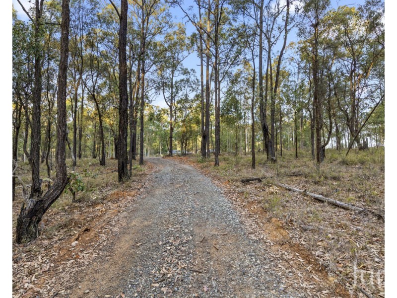 42 Big Ridge (North Arm) Lane, Sedgefield NSW 2330