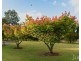 389 Wilderness Road, Lovedale NSW 2325