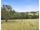 389 Vermont Road, Mulbring NSW 2323
