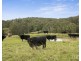 389 Vermont Road, Mulbring NSW 2323