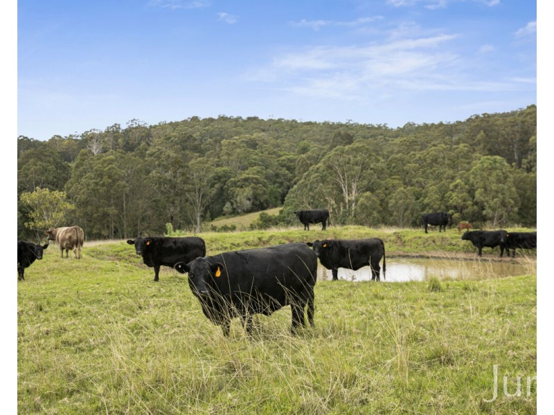 389 Vermont Road, Mulbring NSW 2323