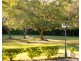 112 Halls Road, Pokolbin NSW 2320