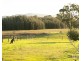 112 Halls Road, Pokolbin NSW 2320