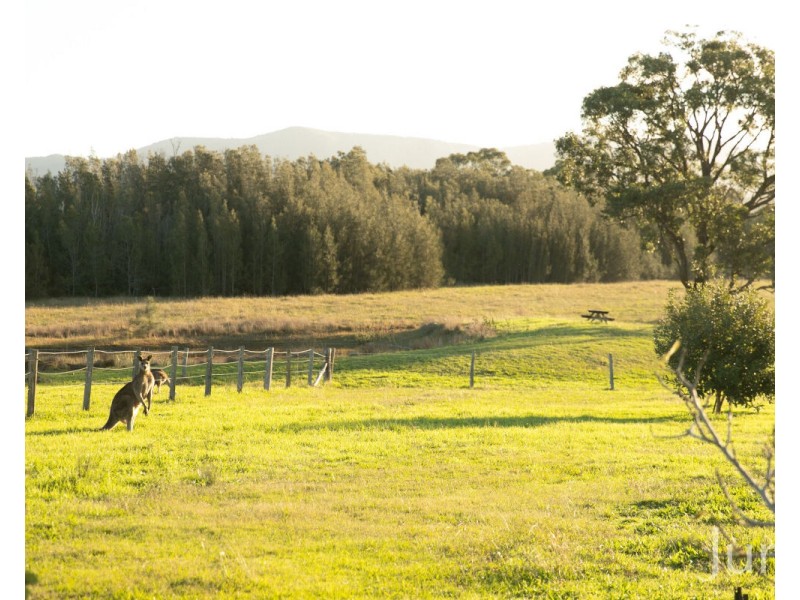 112 Halls Road, Pokolbin NSW 2320