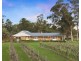 112 Halls Road, Pokolbin NSW 2320