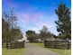 290 Stanhope Road, Elderslie NSW 2335