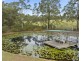 1542 Wine Country Drive, North Rothbury NSW 2335