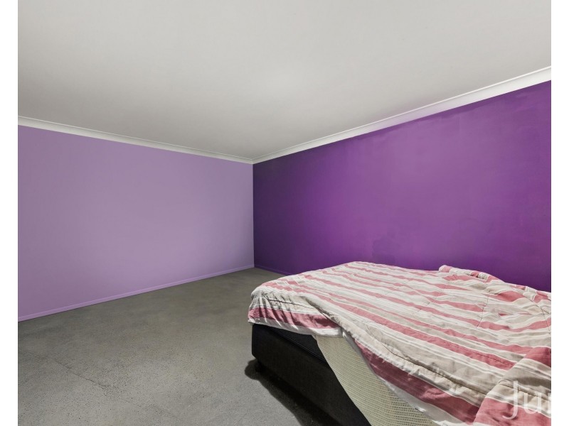 1542 Wine Country Drive, North Rothbury NSW 2335