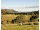60 Blue Bonnet Road, Lambs Valley NSW 2335