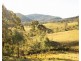 60 Blue Bonnet Road, Lambs Valley NSW 2335