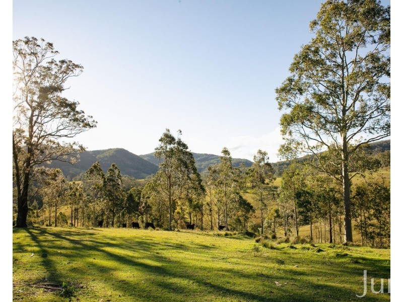 60 Blue Bonnet Road, Lambs Valley NSW 2335