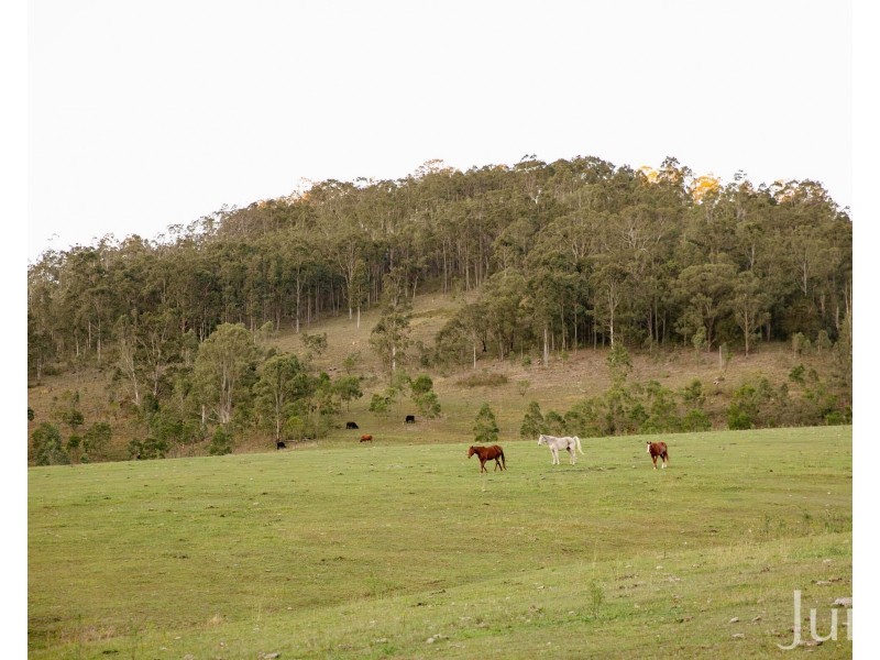 60 Blue Bonnet Road, Lambs Valley NSW 2335