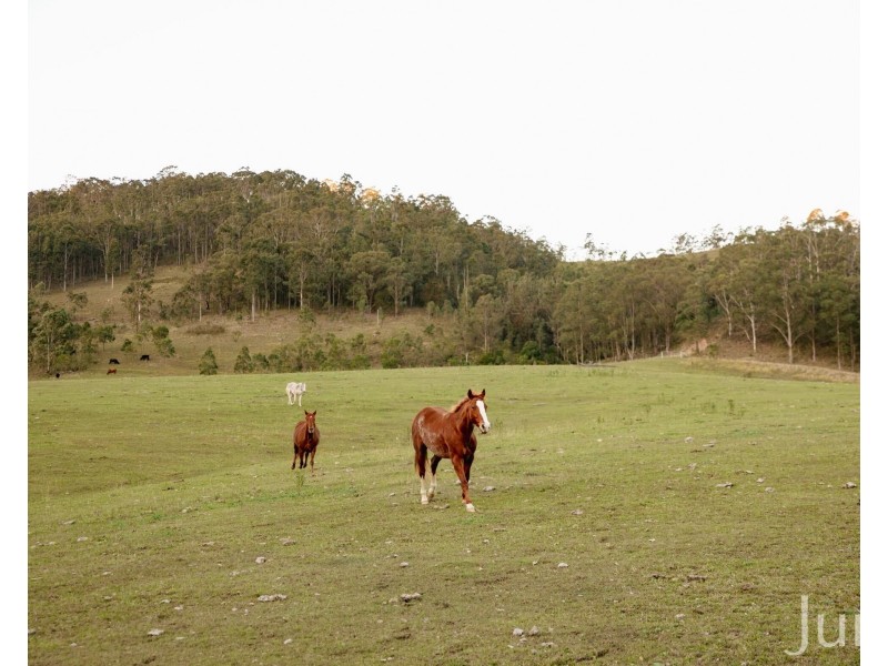 60 Blue Bonnet Road, Lambs Valley NSW 2335