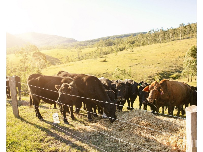 60 Blue Bonnet Road, Lambs Valley NSW 2335