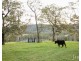 60 Blue Bonnet Road, Lambs Valley NSW 2335