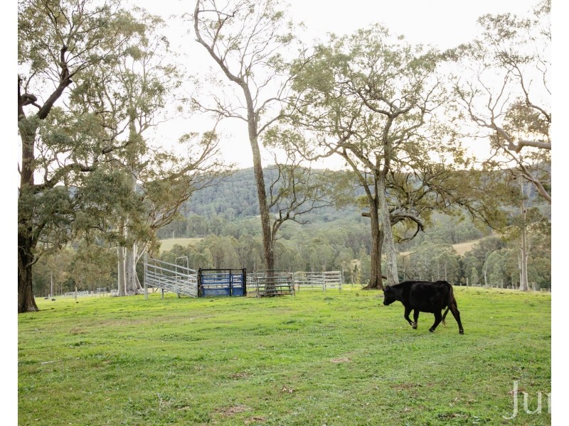 60 Blue Bonnet Road, Lambs Valley NSW 2335