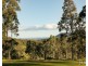 60 Blue Bonnet Road, Lambs Valley NSW 2335