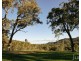60 Blue Bonnet Road, Lambs Valley NSW 2335