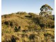 60 Blue Bonnet Road, Lambs Valley NSW 2335
