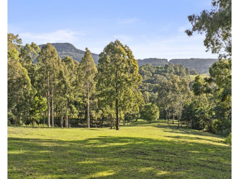 157 Rodney Road, Mount Vincent NSW 2323