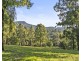 157 Rodney Road, Mount Vincent NSW 2323