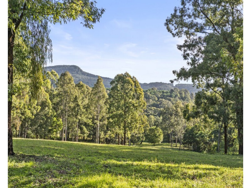 157 Rodney Road, Mount Vincent NSW 2323