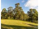 157 Rodney Road, Mount Vincent NSW 2323