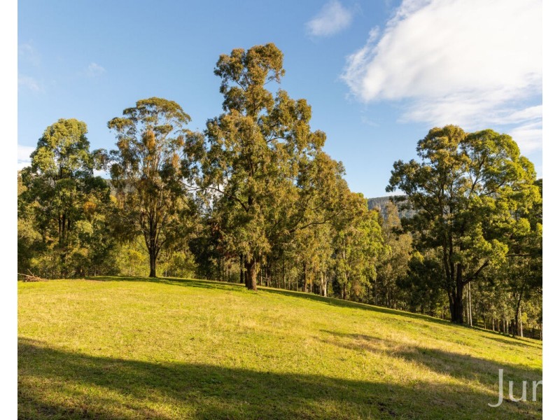 157 Rodney Road, Mount Vincent NSW 2323