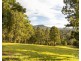 157 Rodney Road, Mount Vincent NSW 2323