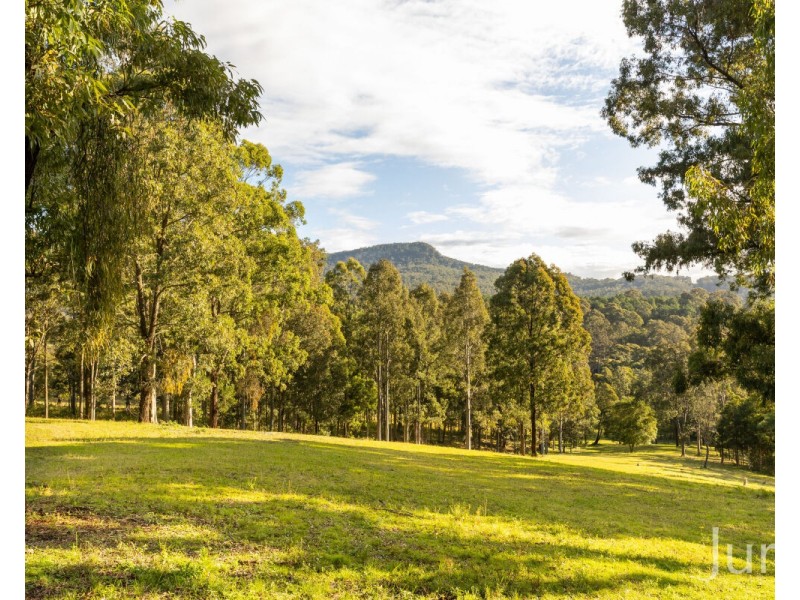 157 Rodney Road, Mount Vincent NSW 2323