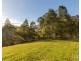 157 Rodney Road, Mount Vincent NSW 2323