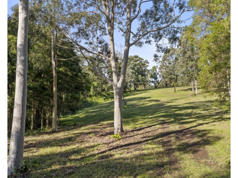 157 Rodney Road, Mount Vincent NSW 2323
