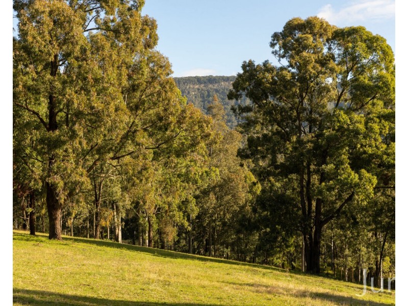 157 Rodney Road, Mount Vincent NSW 2323