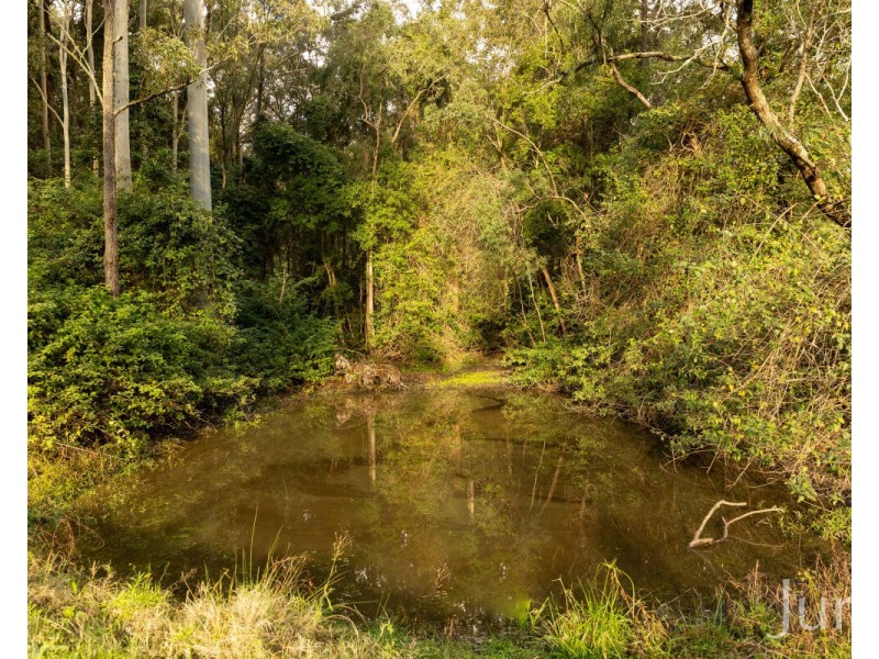 157 Rodney Road, Mount Vincent NSW 2323