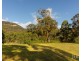 157 Rodney Road, Mount Vincent NSW 2323