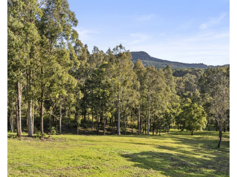 157 Rodney Road, Mount Vincent NSW 2323