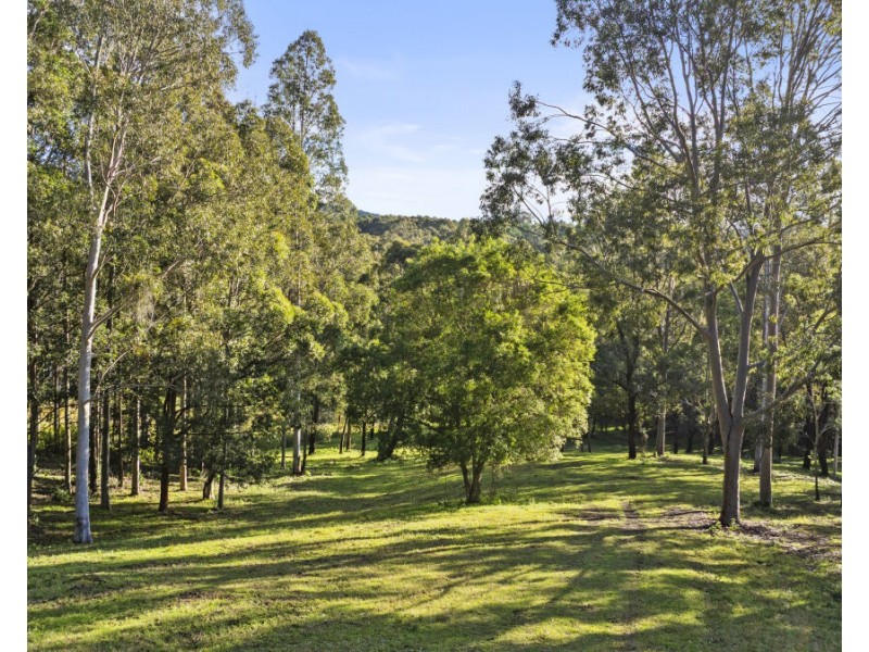 157 Rodney Road, Mount Vincent NSW 2323