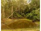 157 Rodney Road, Mount Vincent NSW 2323