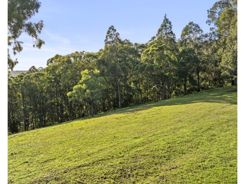 157 Rodney Road, Mount Vincent NSW 2323