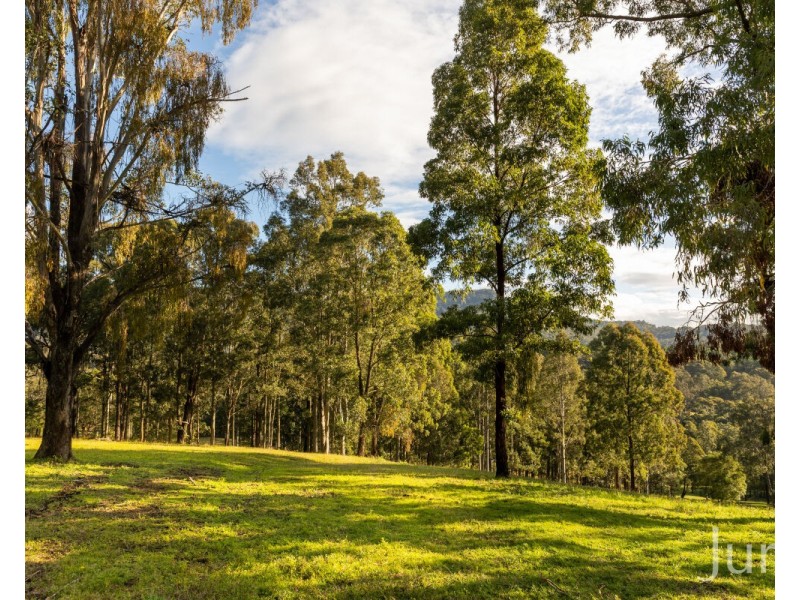 157 Rodney Road, Mount Vincent NSW 2323