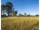 56 Wisemans Way, Sedgefield NSW 2330