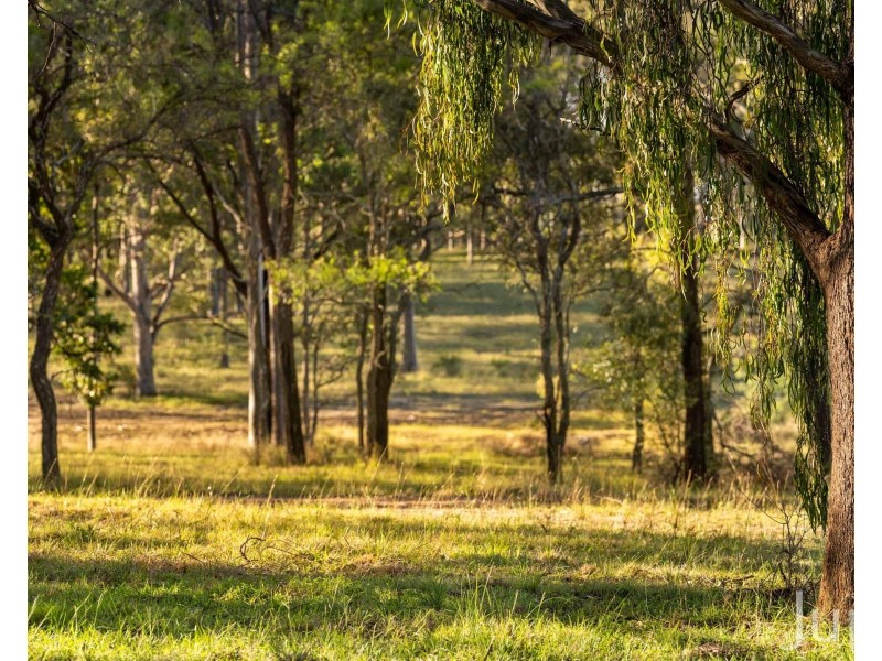 56 Wisemans Way, Sedgefield NSW 2330