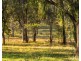 108 Wisemans Way, Sedgefield NSW 2330